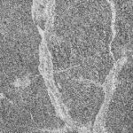 Anti-Slip Meta Africa Natural Marble