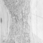 Wavy Elegance (Translucent)