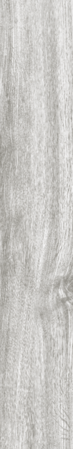 BIRTCH WOOD 20X120 - Image 2
