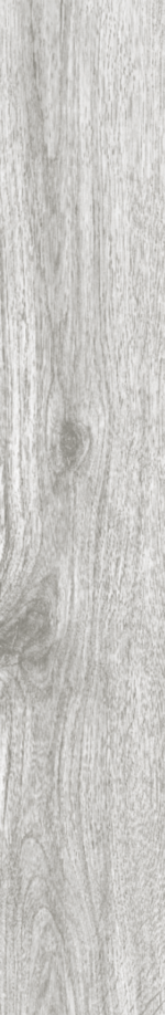 BIRTCH WOOD 20X120 - Image 3