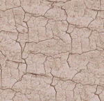 60 X 60 DIGITAL TILES - Image 5