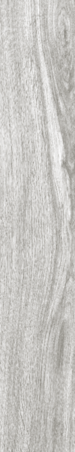 SILVER OAK MATT 20X120