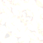 60 X 60 DIGITAL TILES - Image 15