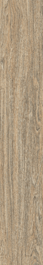 SYLVA VEIN 20X120
