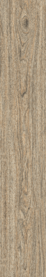 SYLVA VEIN 20X120 - Image 2