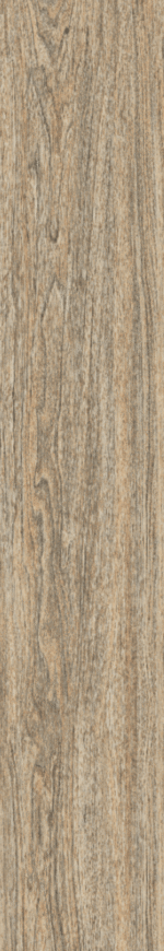SYLVA VEIN 20X120 - Image 3