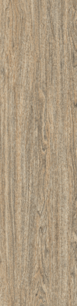 SYLVA VEIN 30X120