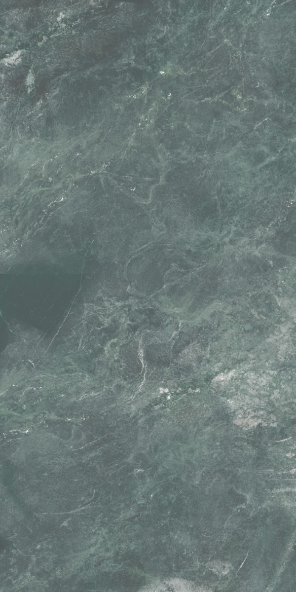 ABYSS FOREST 600 X 1200 MM Abbyss Forest - Image 1