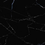 Black Olecia