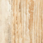 Hound Beige